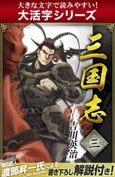 【大活字シリーズ】三国志　3巻